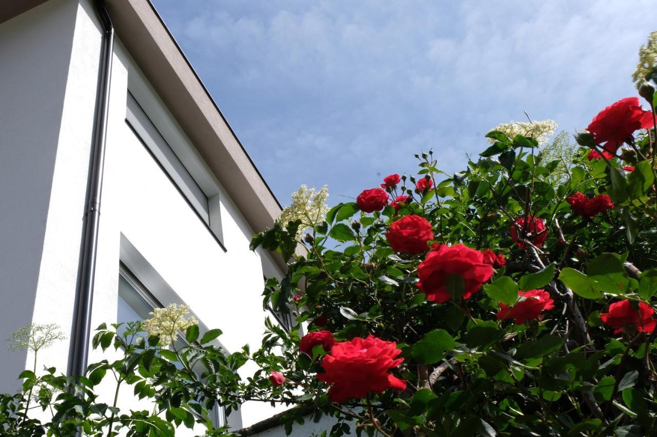 Apartment Le Rose Di Marianne - Ovest Vahrn Exteriör bild